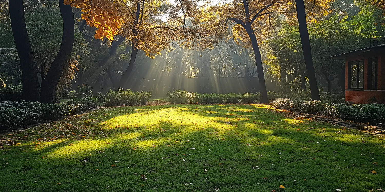 Ile kosztuje trawa z rolki?