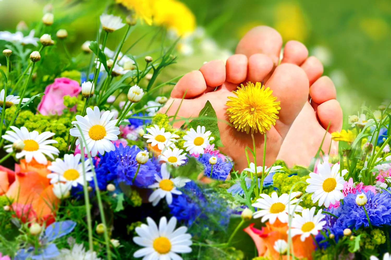 Gabinet podologiczny Szczecin