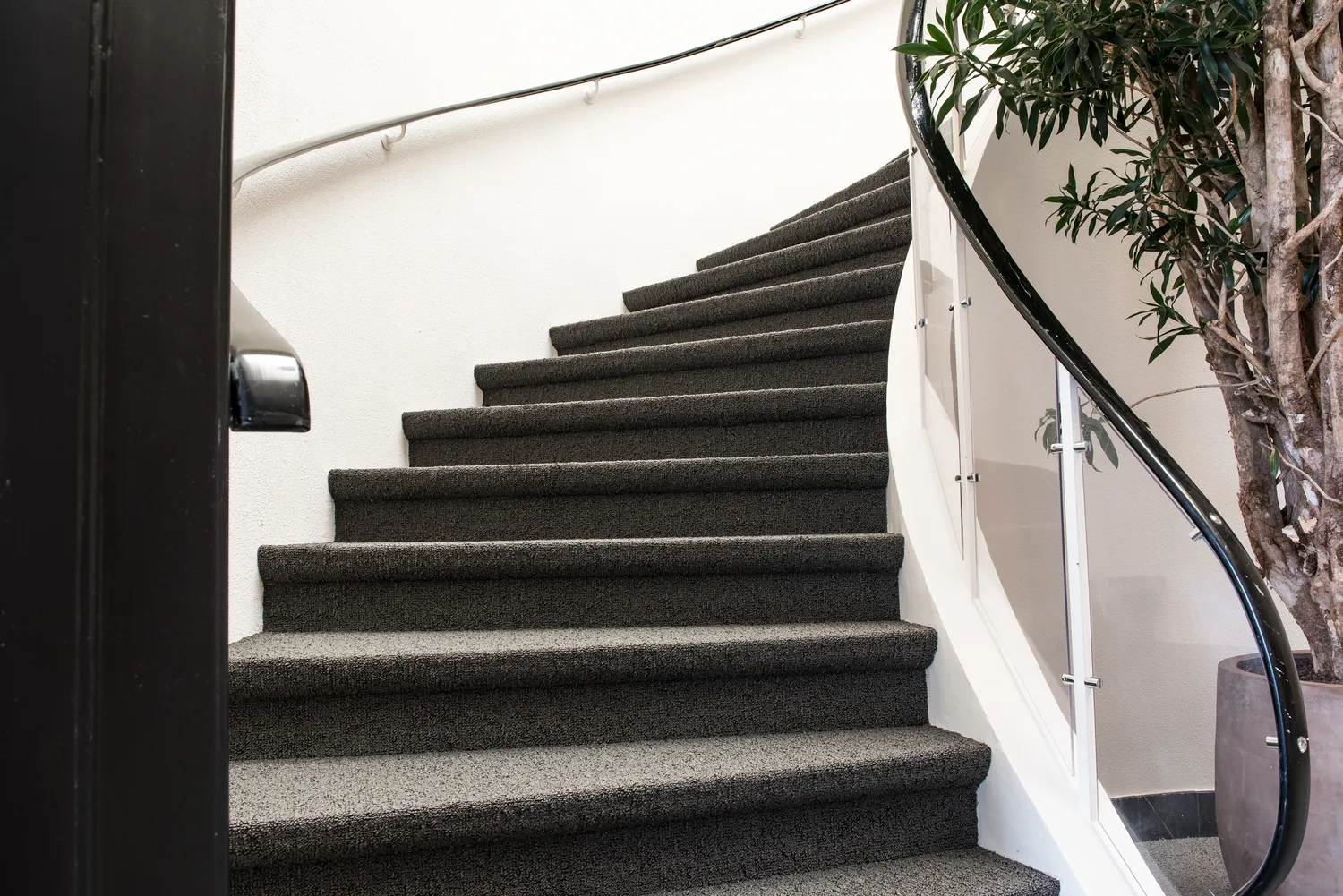 Ile kosztuje pranie dywanu?