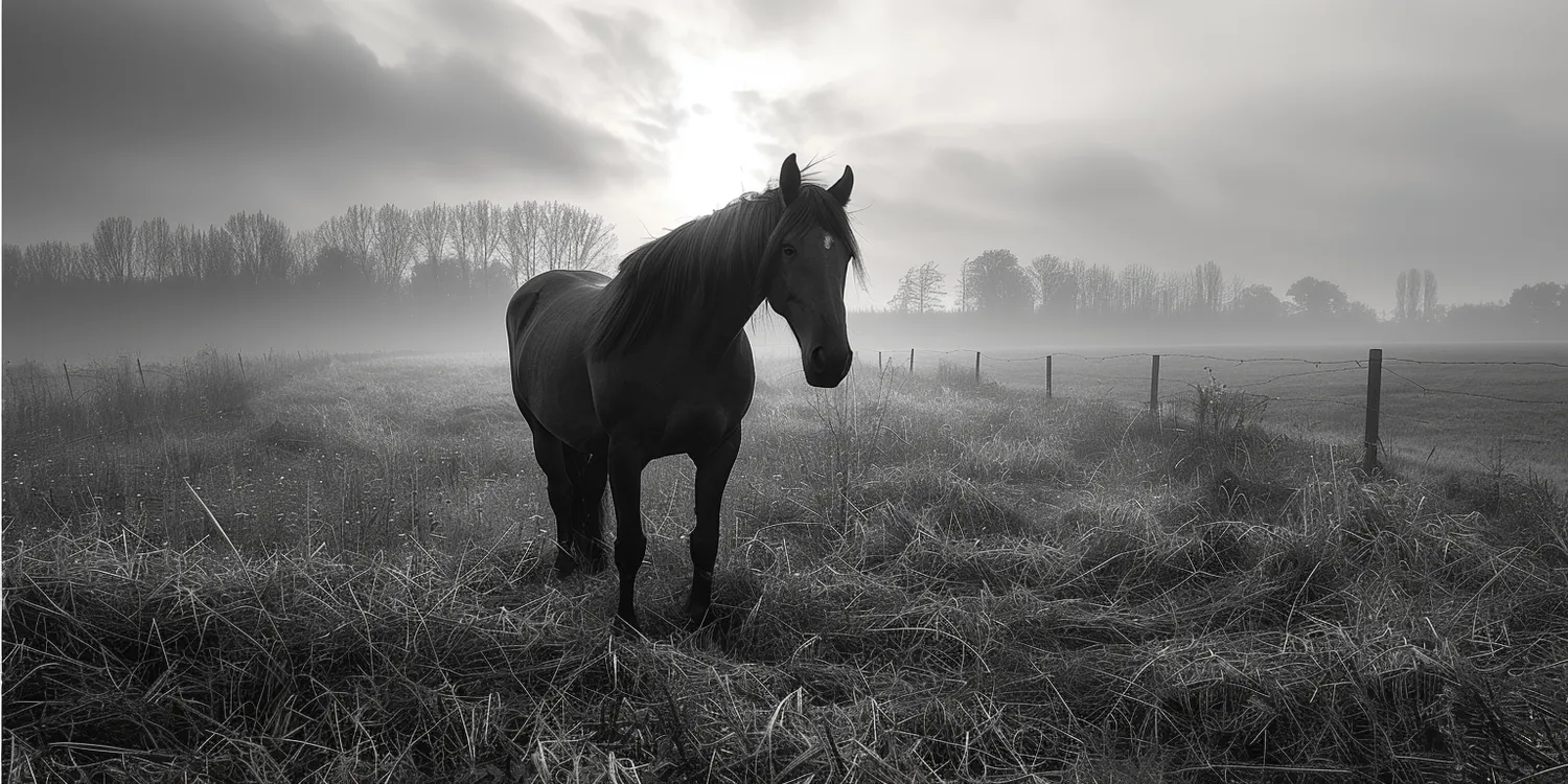 Jak wytłumaczyć dziecku śmierć psa?