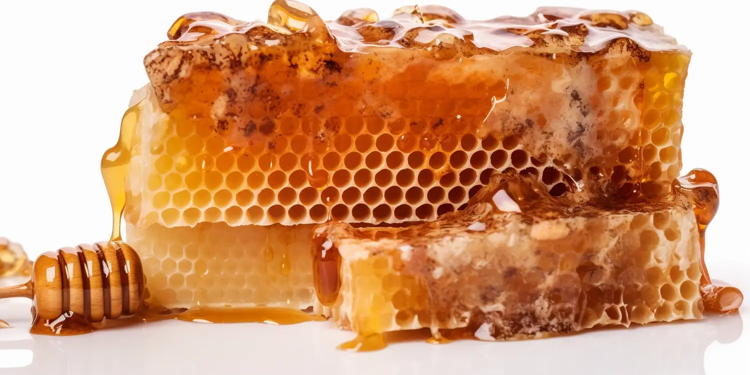 Miód nawłociowy - jego właściwości i zastosowanie