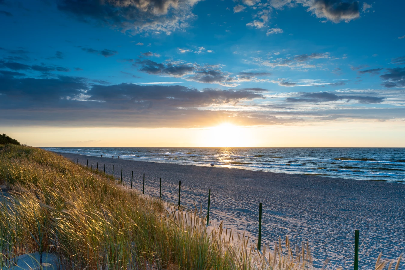 Trawa z rolki jak dbać?