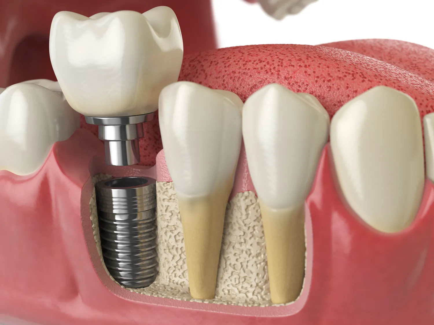 Dentysta Szczecin